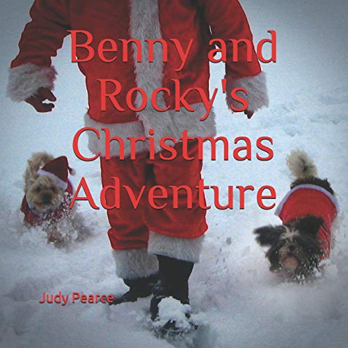 Benny and Rocky's Christmas Adventure (Hello, My Name is Benny)