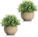 Dekorly® Artificial Plants Fake Mini Potted Plant Small Greenery Decor for Indoor Home Farmhouse Aesthetic Bedroom Shelf Office Desk Bathroom Decoration (Brown)