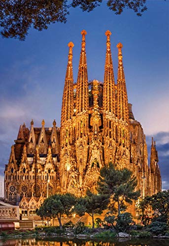 Puzzle Adulte Espagne Temple Sagrada família la Nuit - 1000 Pieces - Set Collection Monument...