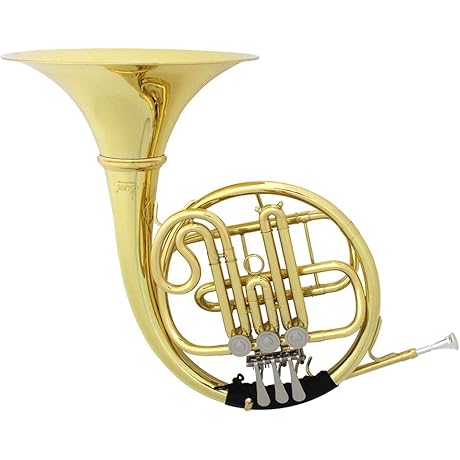 B Flat Single Row French Horn: A Beginner's Gateway to Brass Excellence