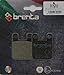 Brenta Pastillas freno organiche Moto para Alfer, Aprilia, Beta, Cipi, Derbi, Gas Gas
