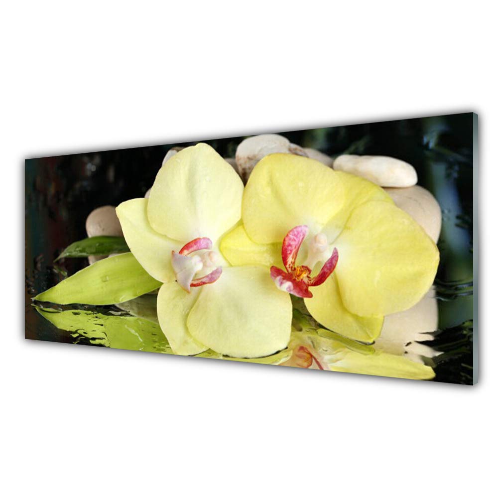 Impression sur verre trempé Tulup 125x50cm avec motif de pétale floral