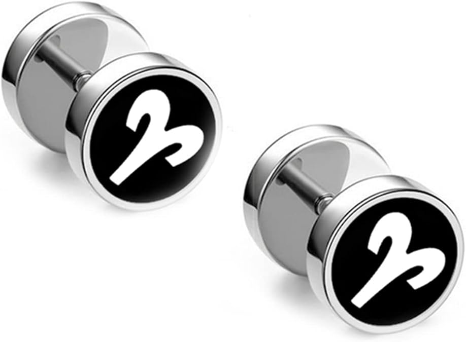 Stainless Steel Earrings Stud, Fashion Earrings for Women Zodiac Sign Stud Earrings