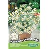 Germisem EC1122 Matricaria Chamomilla Zaden 1 g
