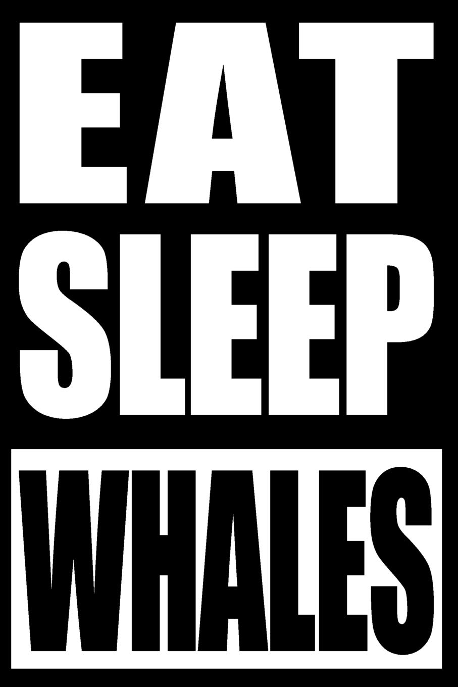 Eat Sleep Whales | Notebook for Whale Watching, Medium Ruled Journal