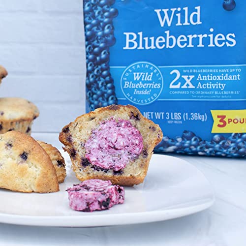 Wyman’s Frozen Wild Blueberries | No Preservatives, Non-Gmo Certified | 18 Pounds Total Of Fresh Frozen Fruit - 3Lb Per Bag (6 Pack) #TOP4