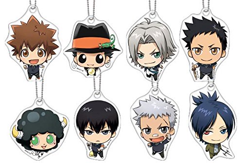 【即購入ok!!】家庭教師ヒットマンREBORN！ 8枚組公式 限定BOXセット Amazon.co.jp: 家庭教師ヒットマン REBORN! みあげてますこっと BOX