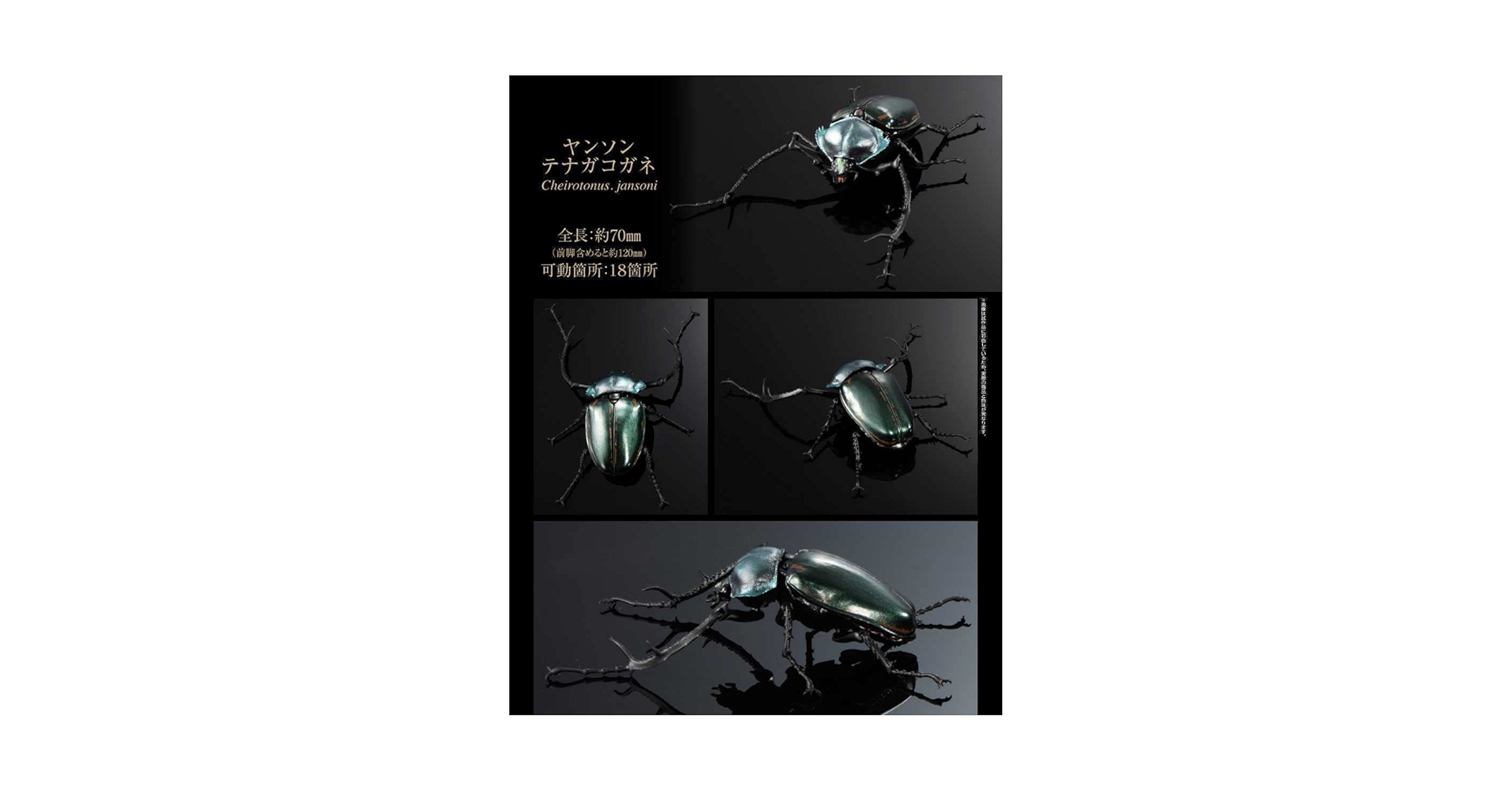 テナガコガネ　フィギュア Amazon.co.jp: デアゴスティーニ 世界の昆虫 DATE BOOK 1/1