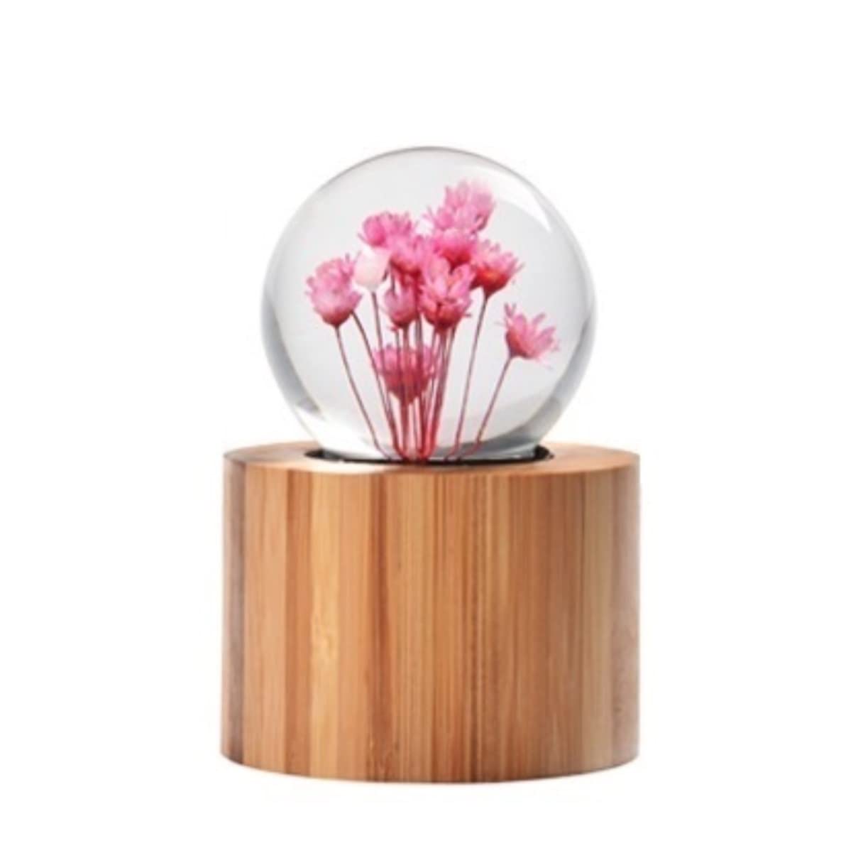 Caja de música Caja De Musica Niña Caja De Música De Margaritas con Flores Reales, Caja De Música De Madera con Bola De Cristal para Navidad, Bodas, Cumpleaños, Niñas Caja Musical Personalizada(Pink)