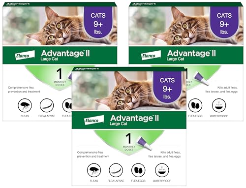 Advantage II Large Cat Vet-Recommended Flea Treatment & Prevention | Cats Over 9 lbs. | 1-Month Supply (Pack of 3) - image 1