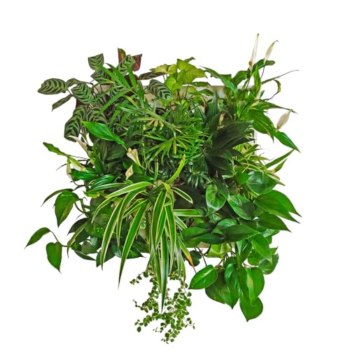 ortisgreen hub modulo giardino verticale fai da te in alluminio riciclato bianco, per dieci piante, componibile, include staffa, substrato naturale e istruzioni.