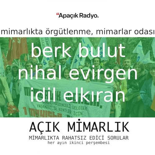 Mimarlıkta &Ouml;rg&uuml;tlenme ve Mimarlar Odası