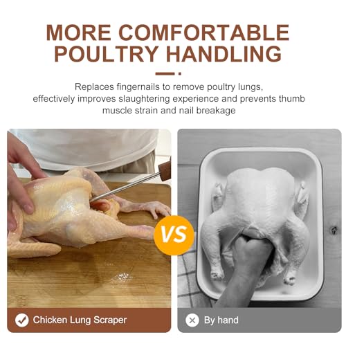 KONIDUN Lung Scraper of Chicken Processing Equipment, Easily Removes Poultry Lungs, Acacia Wood Handle, Chicken Butchering Equipment That Efficient Gutting Tool for Turkey, Chicken - Image 4
