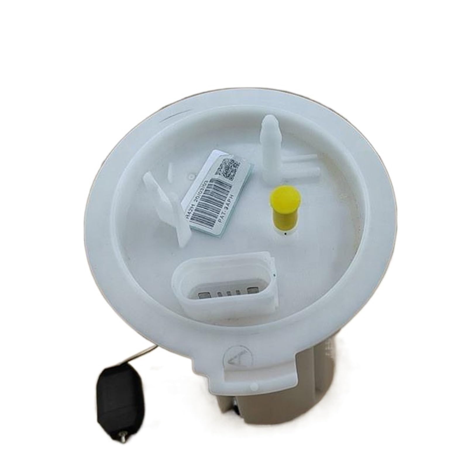 Amazon.com: FXWYJSCU Fuel Pump Assembly 2Q0919051F 2Q0919051G  