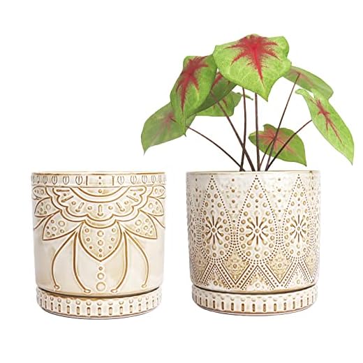 YFFSRJDJ 6 Inch Indoor Plant Pots with Drainage Holes and Saucers, Ceramic Planter for Plants, Flower Pot - Set of 2