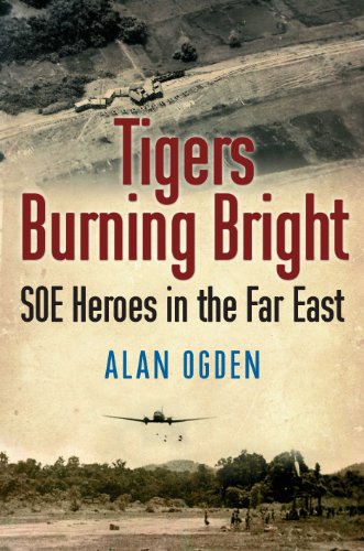 Tigers Burning Bright view 2