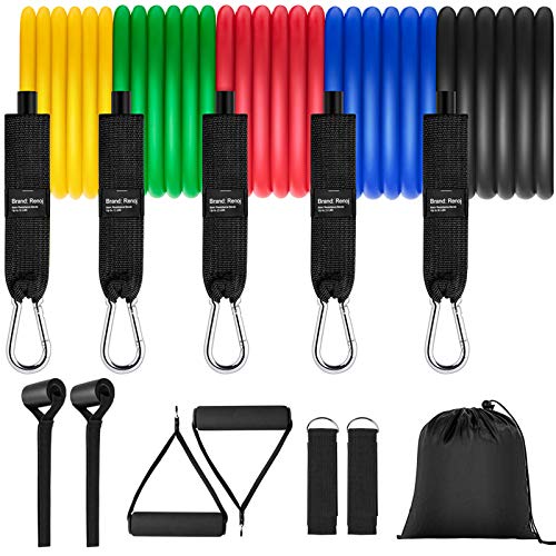 Renoj Resistance Bands, Resistances Bands Set for Exercise Bands 100LBS