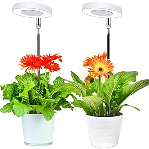 LED Plant Lamp for Indoor,Full Spectrum Plant Light with 2/4/8 Auto Timer, Adjustable Grow Lights Full Spectrum 4 Brightness,Height-Adjustable Growth Lamp for Seedlings and Succulents Flowers Cover