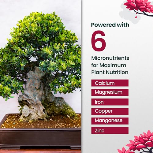 Fertilizante líquido HiThrive para bonsái 16 oz miniatura 4