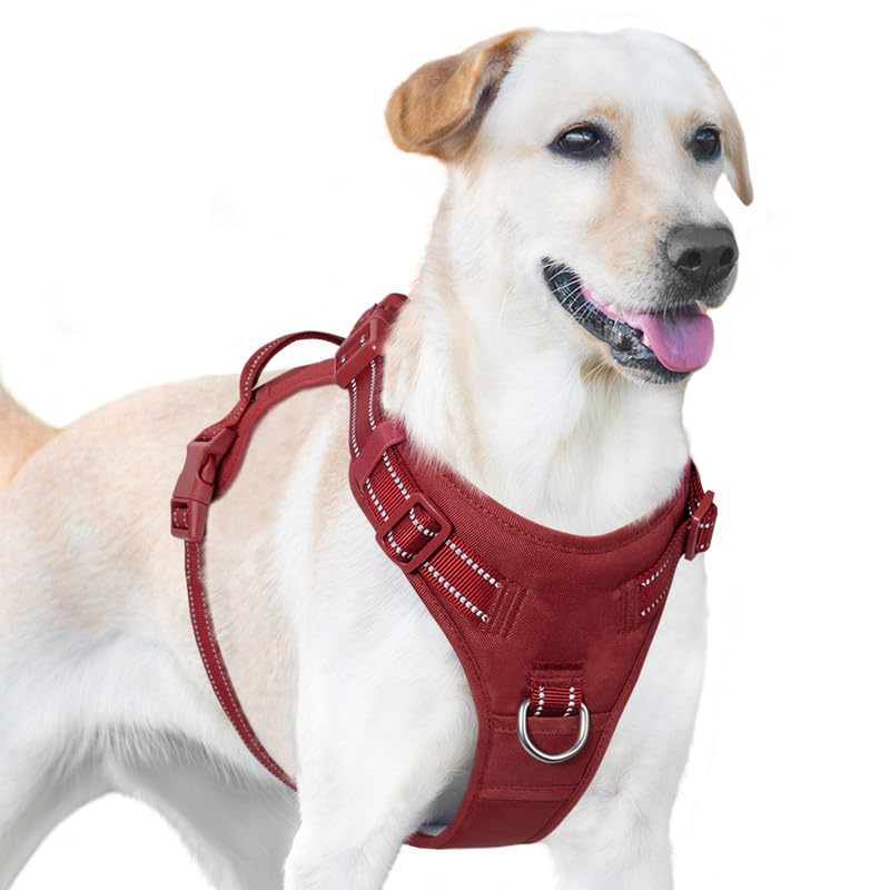 Sunraymascota Dog Harness Medium Oxford Fabric No Pull Dog Harness,4 Adjustable Points for Easy Fit,2 Leash Attachments for Training and Walking,Fits Small Medium Large Dogs(Burgundy Red,L)