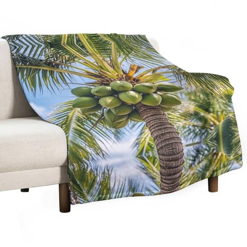 Couverture en flanelle cocotier plaid peluche canapé lit - 2
