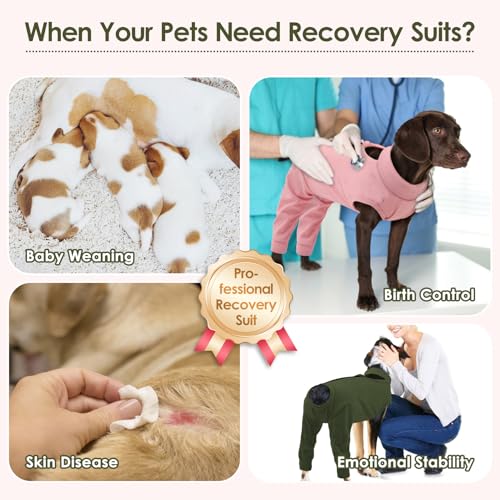 Image of KOESON Dog Recovery Suit for Rear Legs with Back Zipper, Strechy Dog Recovery Onesie After Surgery, Soft Back Leg Sleeve to Stop Licking for Female Male Dogs, Pet Rear Leg Wound Cover for Medium Dogs