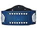 SmackDown Tag Team Championship Title Belt Replica Blue - World Heavyweight Wrestling Championship Belt - Adult Size