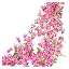 2.30m-rose