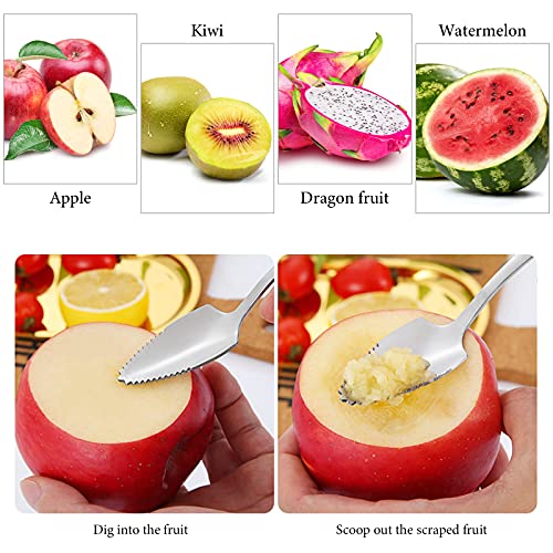 Grapefruitlöffel Bestonzon aus Edelstahl, 4 Stück für Obst und Desserts