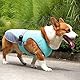 DKDDSSS Hund Kühlweste, Atmungsaktiv Hundekühlweste, Sommer Cool Hundejacke, Cooler Komfortabler Hundemantel, für Kleine Bis Mittelgroße Hunde Aktivitäten Draußen Training (Blue, M)