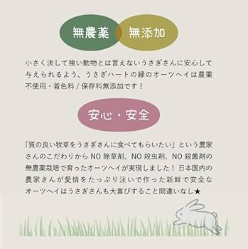 Usagi Heart 緑のオーツヘイ　ストレート 草原の味　70g×16袋 Amazon | Usagi Heart 緑 乾燥 オーツヘイ ストレート 70g 1袋