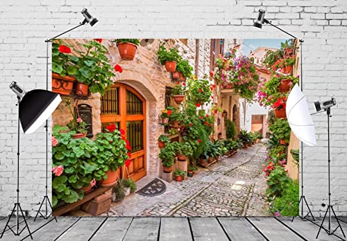 BELECO Fondo Fotográfico 5x3 ft Estampado Italia miniatura 2