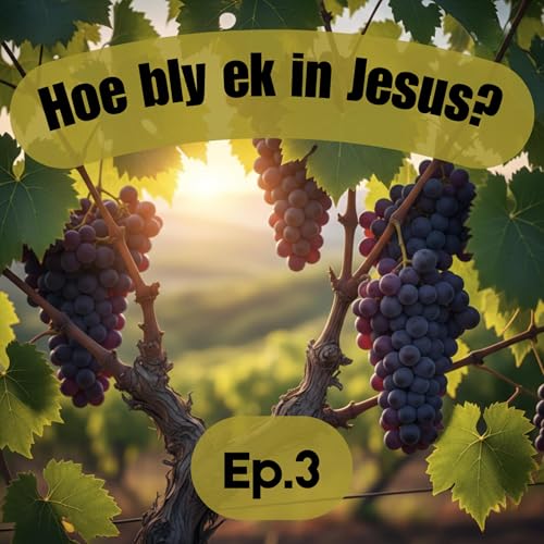 Ep3 - Hoe bly ek in Jesus? - In Sy Woord is voorspoed