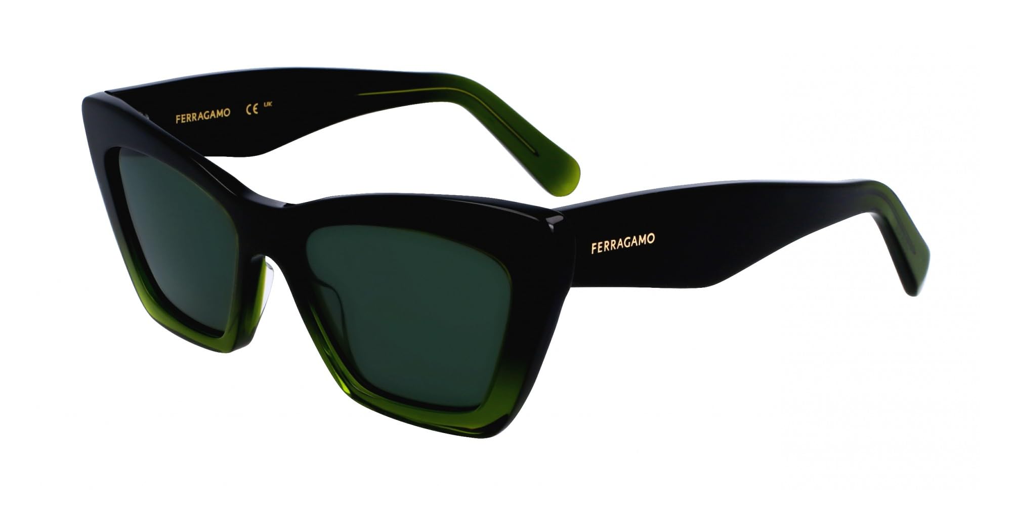 Ferragamo Unisex Transparent Dark Green Gradien Sf929sn 55/17/145 Woman Sunglasses