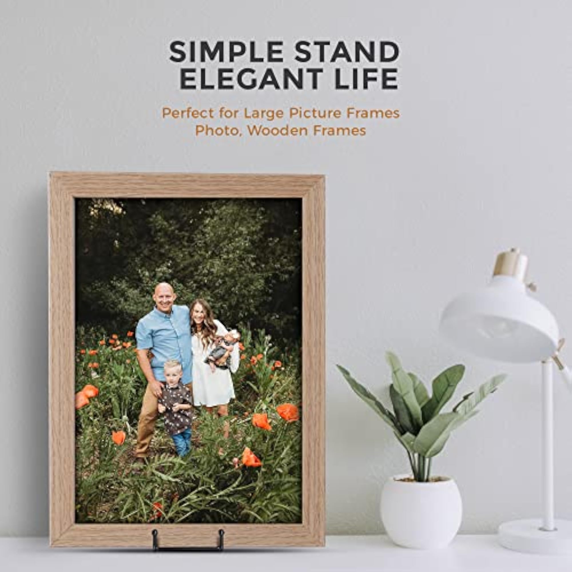 Large Plate Display Stand with Metal Frame