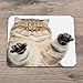 Produktbild Mousepad Pineapple Mousepad Stripped Mousepad Fruits Quadratisches Mauspad Mausmatte Schreibtischzubehör Tischdekoration Bürobedarf Raum