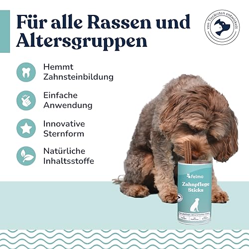 felmo Zahnsticks für Hunde mit Minze & Lammprotein – ca. 19 Kausticks mit Probiotika in Sternform – zuckerfrei, ohne künstliche Farbstoffe, ohne künstliche Aromen
