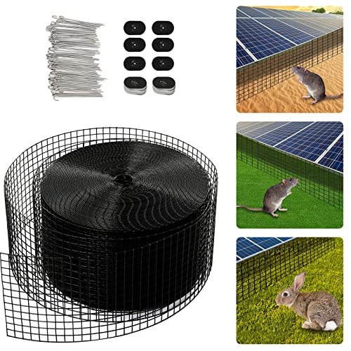 How to keep pigeons off your roof How to keep pigeons off your roof