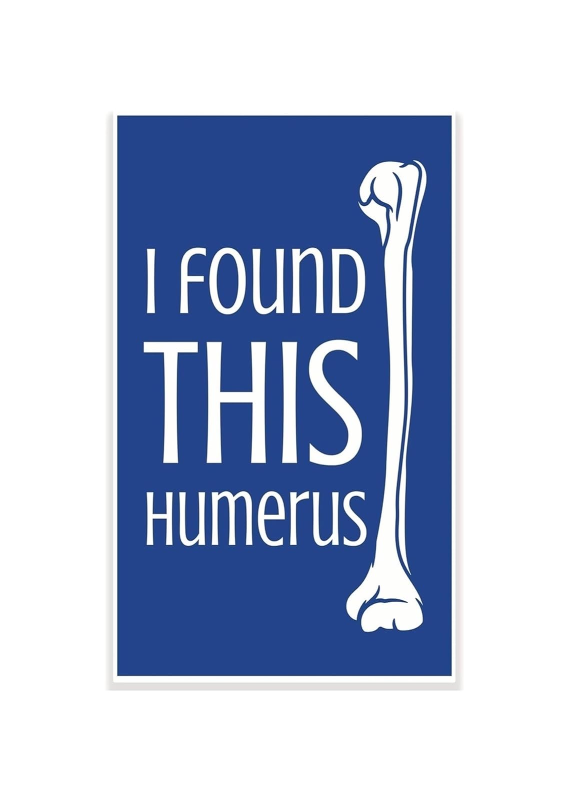 REIUAFWYGV Punny Science Poster I Found This Humerus Biology Classroom Decor Skeleton Anatomy Joke for Middle School High School Science Back to School Wall-Art
