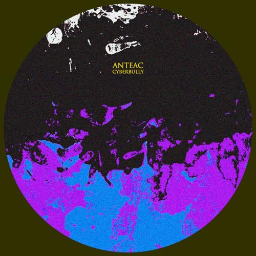 Cyberbully Anteac Digital Music