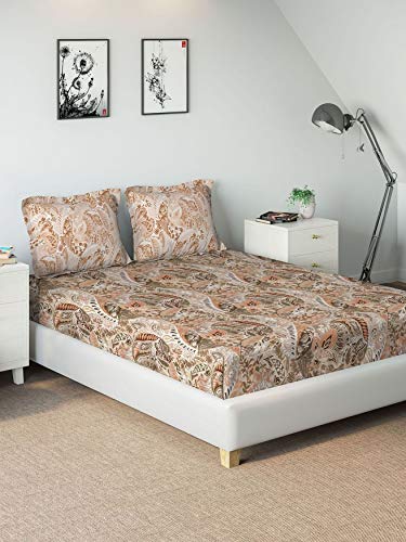 Image of DDECOR - Star Sapphire 100% Cotton Double Bedsheet with 2 Pillow Covers, King Size, Brown