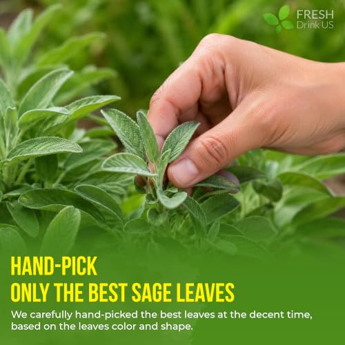 Image of FreshDrinkUS, Premium 135 Sage Leaf Tea Bags, 100% Natural & Pure from Sage Leaves. Loose Leaf Herbal Tea. Made with Natural Material Tea Bags. No Sugar, No Caffeine, No Gluten, Vegan.