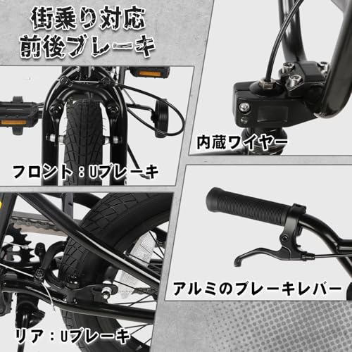 AVASTA Bacchus BMX 20インチ