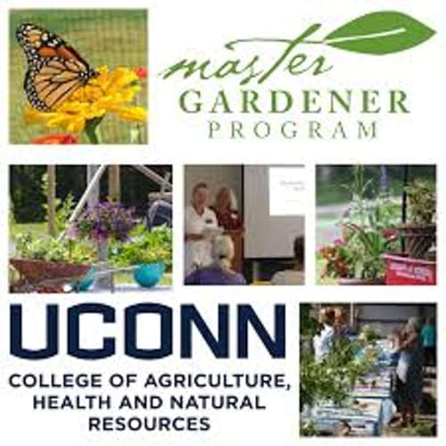 『Sandra Wilson CT. Master Gardener Program』のカバーアート
