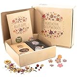 Genuss Set mit Tee, Rosinen mit Aroma Schokolade & Gewürzsalz - Geburtstagsgeschenk für Frauen & Männer, hochwertiges Geschenkset mit Karte, Muttertag Geschenkbox als besondere Geschenkidee