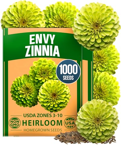 Image of HOME GROWN Envy Zinnia Seeds (1g) - 1000 Rare Lime Green Annual Zinnia Flower Seeds for Planting, Fast-Growing Heat-Loving Variety, Premium Herb Seeds Garden Companion for 2026 Blooms (Zinnia elegans)