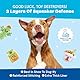 Barkbox 2 in 1 Interaktives Plüsch-Hundespielzeug – Rip and Reveal Hundespielzeug für kleine, mittelgroße und große Hunde – Stimulierende quietschende Haustieranreicherung und Welpenspielzeug | Penny
