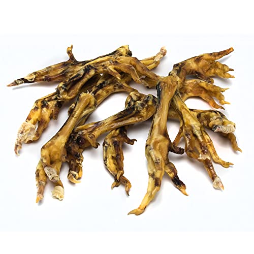 Canine Butcher Shop Raised & Made In Usa Chicken Feet For Dogs (Pack Of 30), All Natural Usa Dog Chews Rawhide Alternative Treats #TOP2