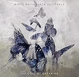 White Moth Black Butterfly - The Cost Of Dreaming