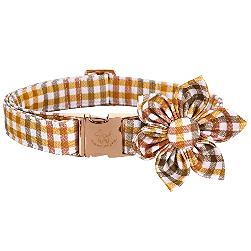 Top 10 Kate Spade Dog Collars of 2022 Katynel